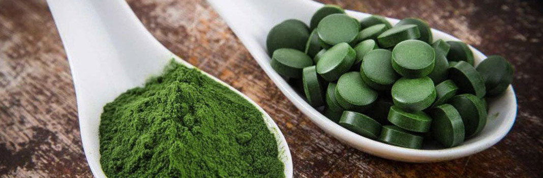 spiruline en poudre