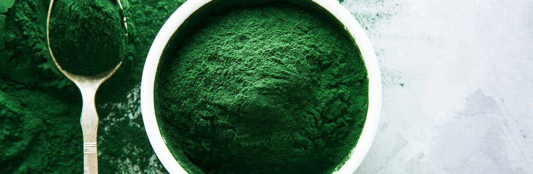 spiruline poudre bio