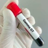 Gamma-GT ou Gamma Glutamyl Transférase